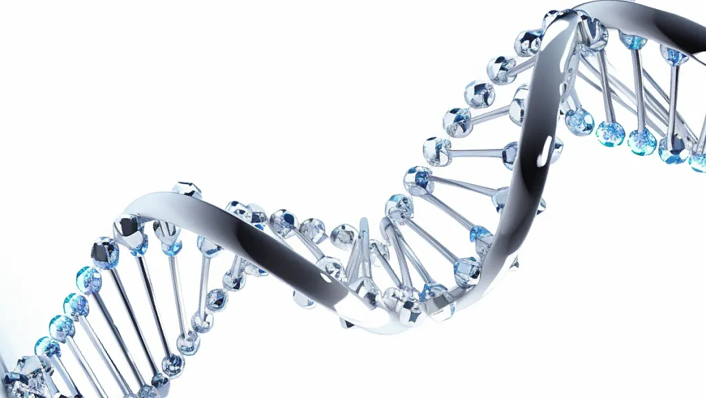 UNCOVERING THE SECRETS OF LONGEVITY WHAT DETERMINES LONG LIFE 2