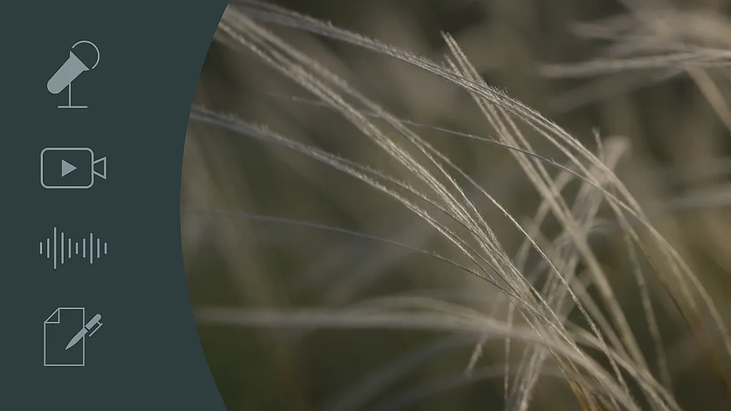 Breaking the habit_cover