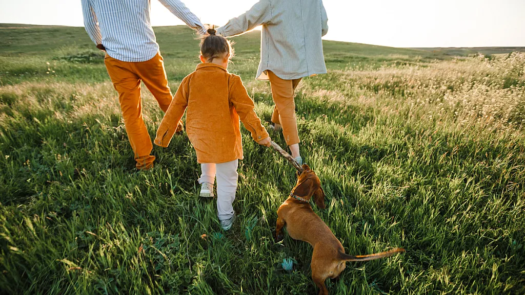 لماذا تلجأ للعلاج الأسري؟